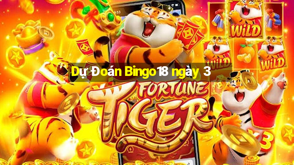 Dự Đoán Bingo18 ngày 3