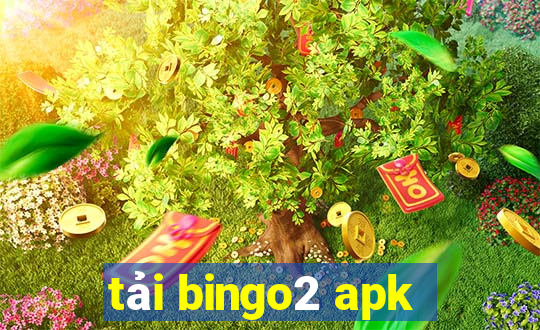 tải bingo2 apk