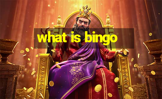 what is bingo