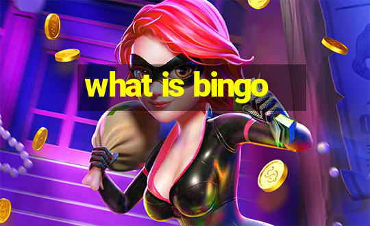 what is bingo