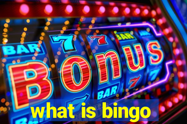 what is bingo