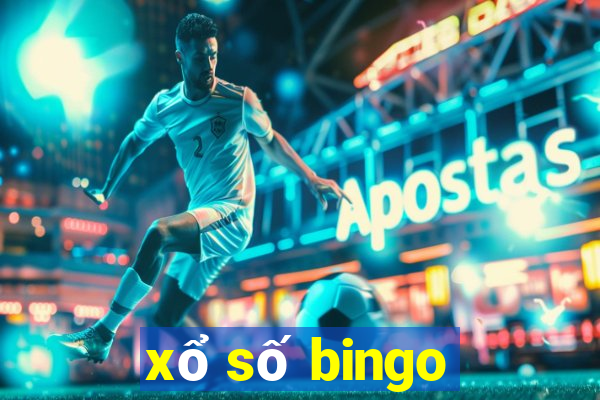 xổ số bingo