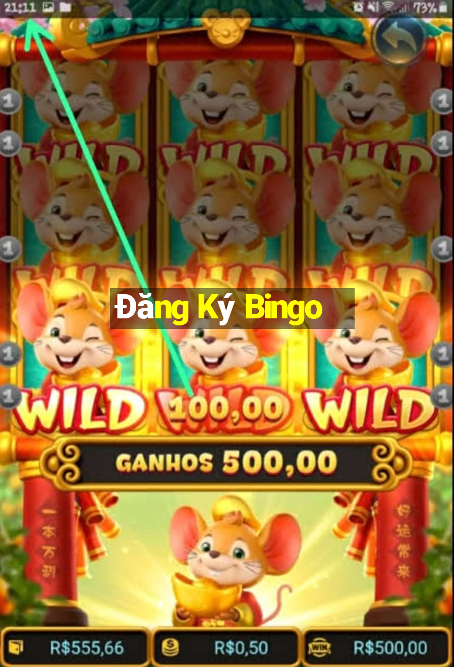 Đăng Ký Bingo