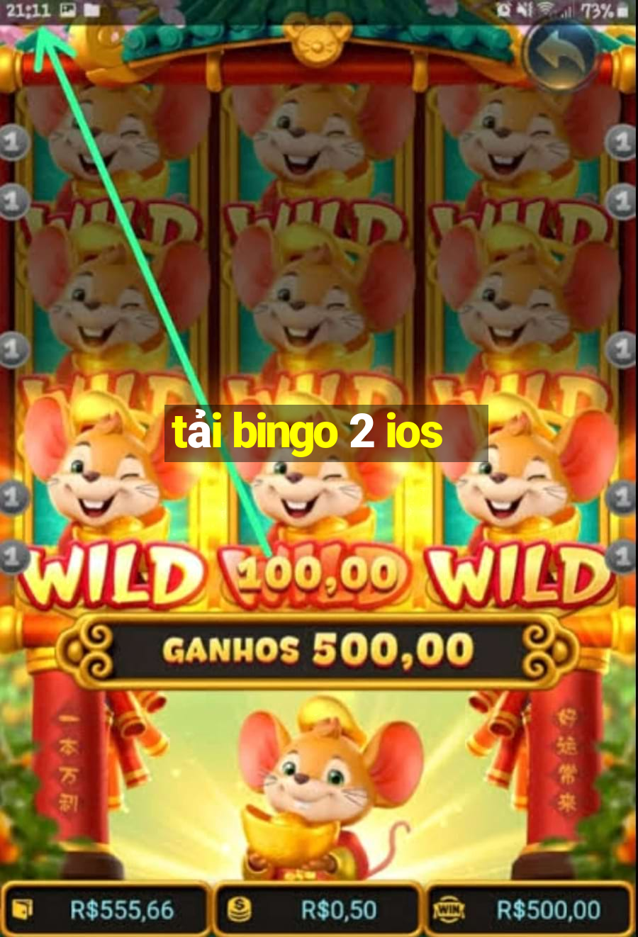 tải bingo 2 ios