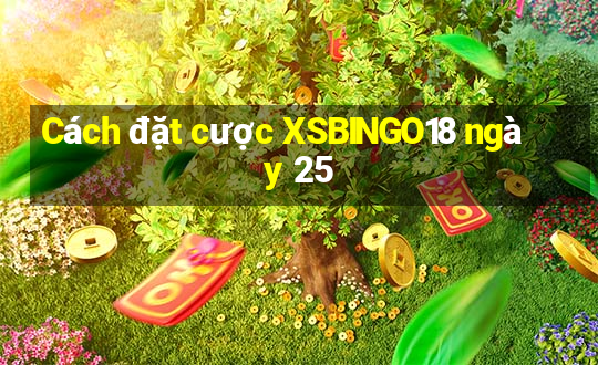 Cách đặt cược XSBINGO18 ngày 25