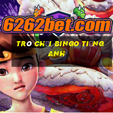 trò chơi bingo tiếng anh