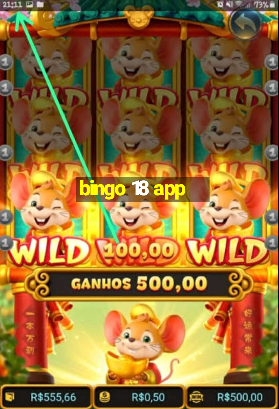 bingo 18 app